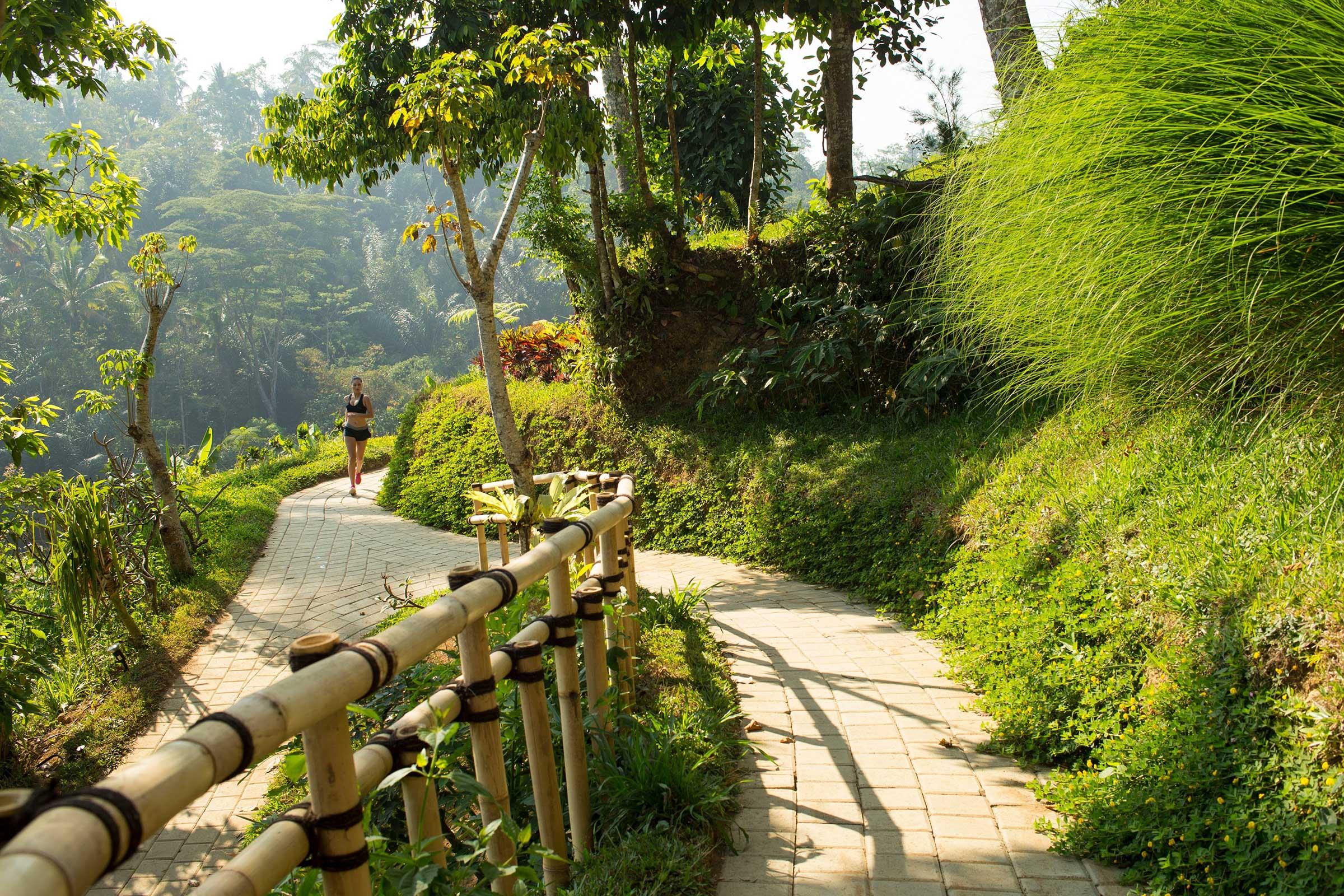 Padma Ubud 5* Payangan