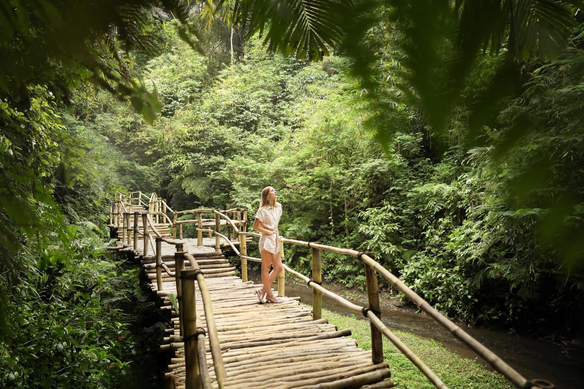 Padma Ubud सहारा Payangan
