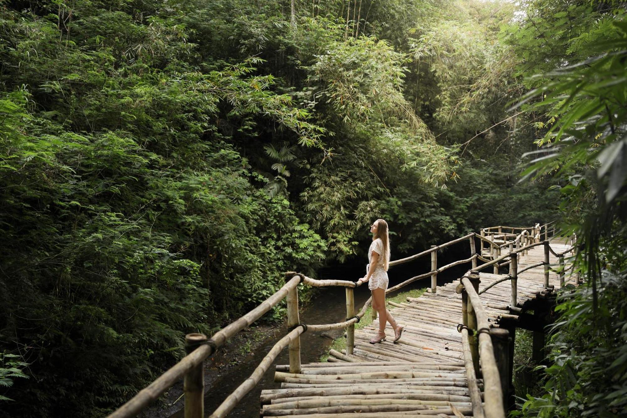 Padma Ubud सहारा Payangan